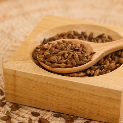 Closeup Barley tea in the wooden spoon