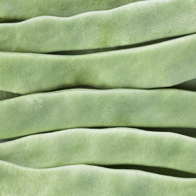 Fresh Flat Beans