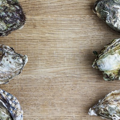 Oysters