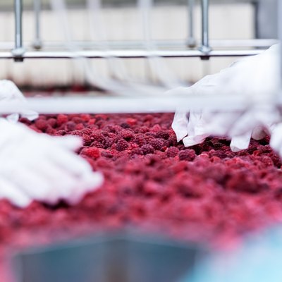 frozen raspberry processing business