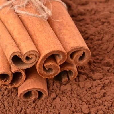Cinnamon on the background of cocoa