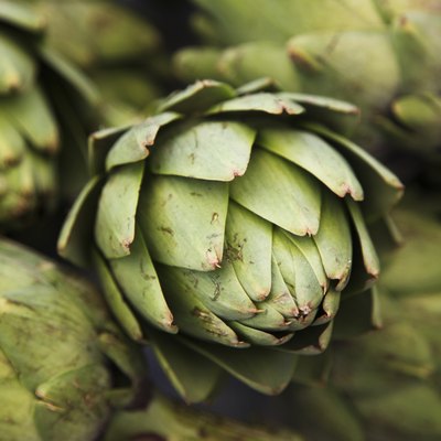 Close up of artichokes from farmers market