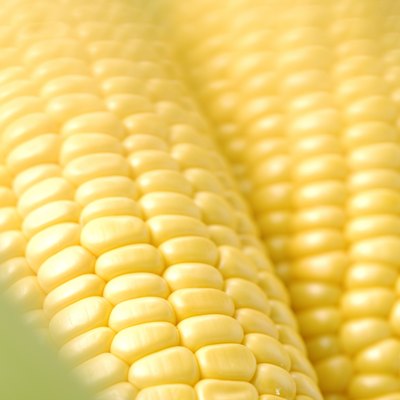 Fresh corn on the cob.