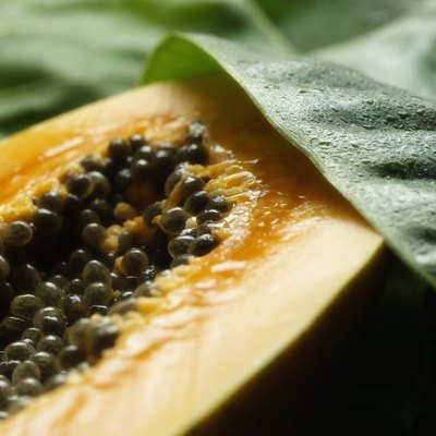 Papaya