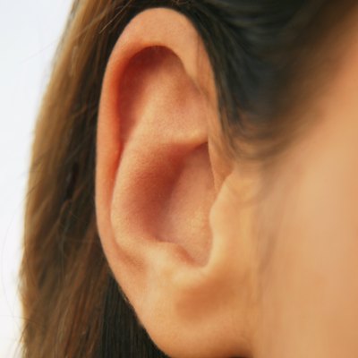 An ear