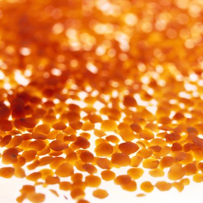blurred close-up of an array of corn kernels