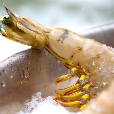 Close-up of frozen seafood