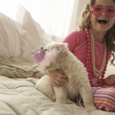 Young girl (8-10) with dog on bed, smiling
