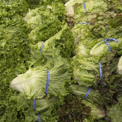 Close-up of lettuce in a supermarket