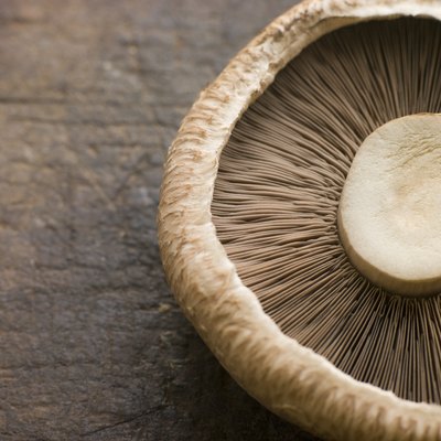 Portobello mushroom