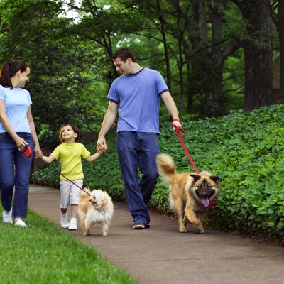 Family holding hands and walking dogs