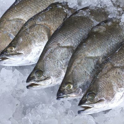 Fresh Seabass