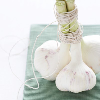 Three garlic sticks on green cloth, close-up
