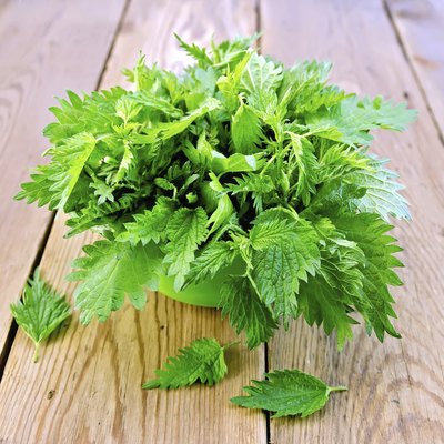 Nettles in a green bowl on board