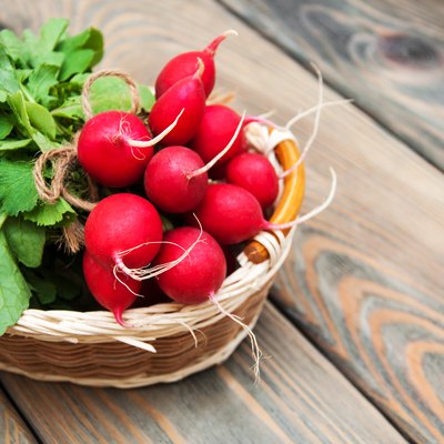 Fresh organic radish