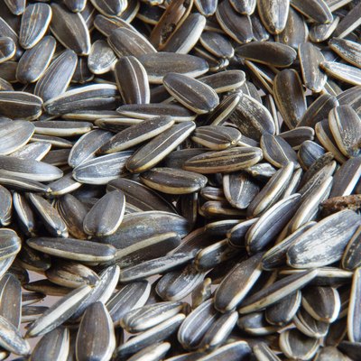 Sunflower seeds