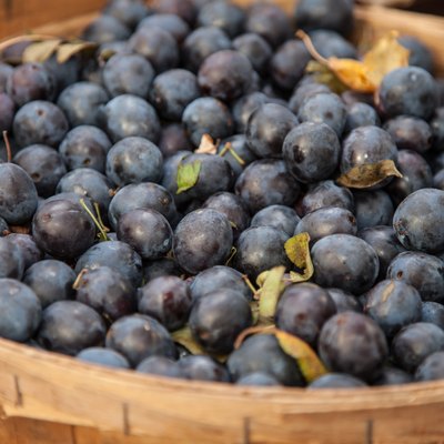 Basket full of blueberries