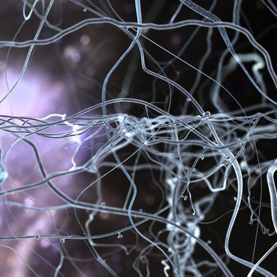 neuronet