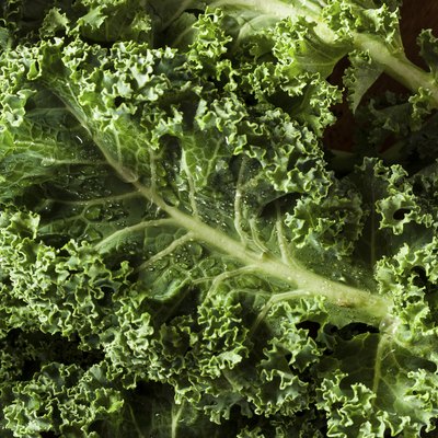 Healthy Raw Green Kale