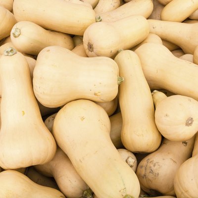Butternut winter squash at market