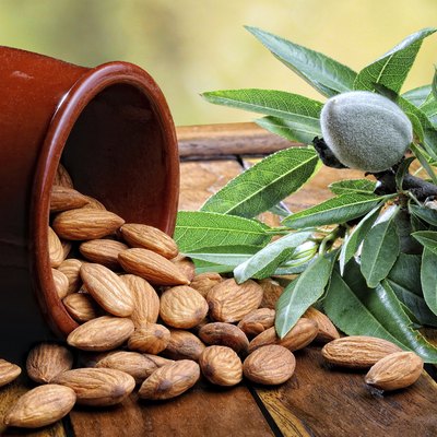 Group of almonds on wooden rustic table