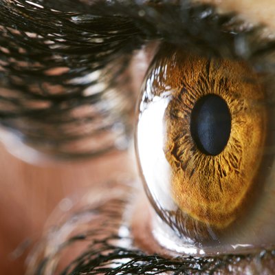 Human eye