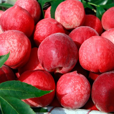Peach