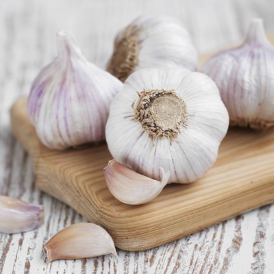 Garlic