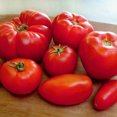 Homegrown organic tomatoes