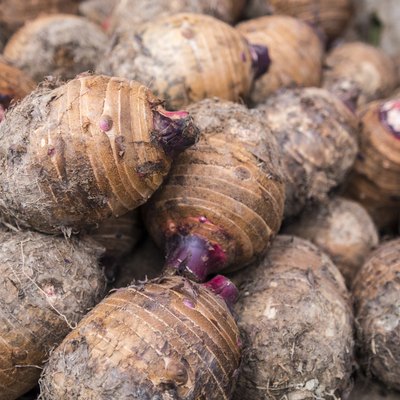 Taro, Asian vegetable