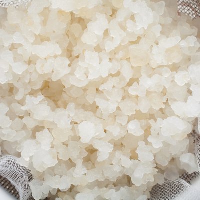 Water kefir grains