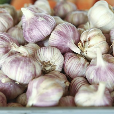 street market garlic