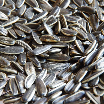 Sunflower seeds