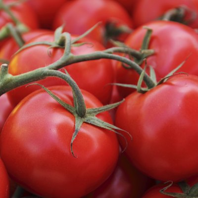 Tomato