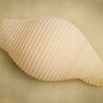 conchiglie pasta