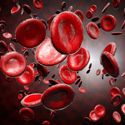 Red Blood Cells