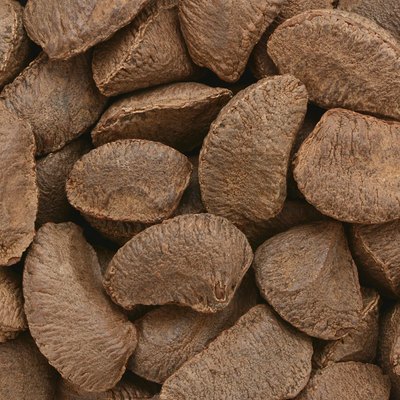 Brazil nuts background