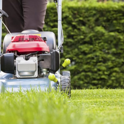 Mowing the grass