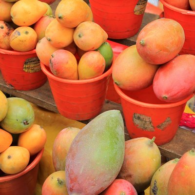 Ripe mangoes for sale in a Mexican farmers market
