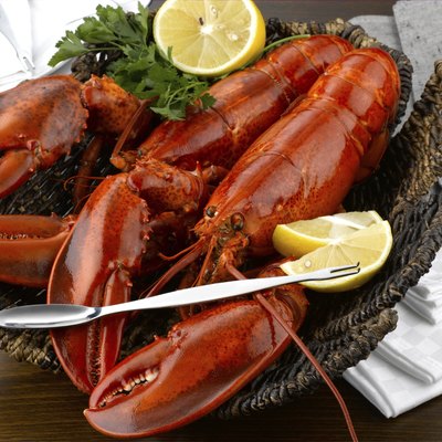 lobster