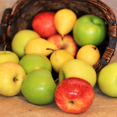basket of ripe apples and pears