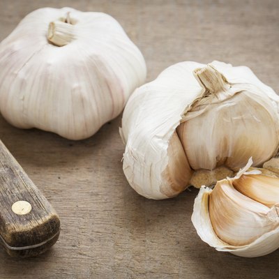 Garlic on wooden table