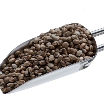 Hemp seeds or hemp nuts are a high-protein food source