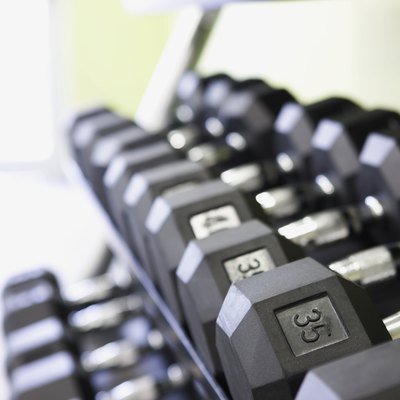 Row of Dumbbells on Rack