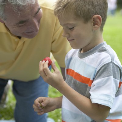 "Boy (6-8) and grandfather outdoors, boy holding strawberry"