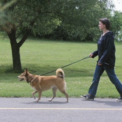 Woman walking her pet dog