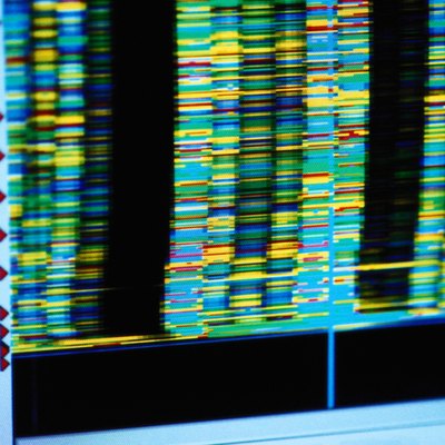 Computer Monitor Showing DNA Configurations