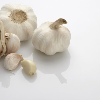 Garlic