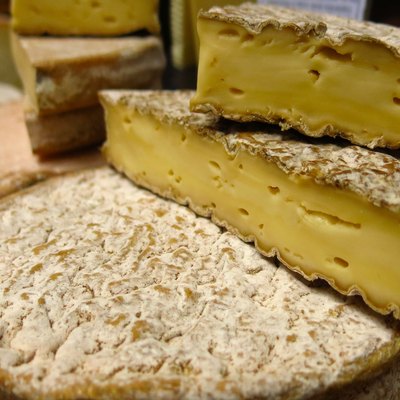 block of cheese from organic cow's milk