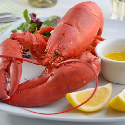 Lobster